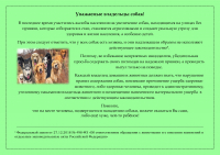 В последнее время участились жалобы населения на увеличение собак, находящихся на улицах без привязи, которые собираются в стаи, становятся агрессивными и создают реальную угрозу для здоровья и жизни населения, а особенно детей