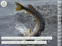 В соответствии с пунктом 47 правил рыболовства для Западно-Сибирского рыбохозяйственного бассейна