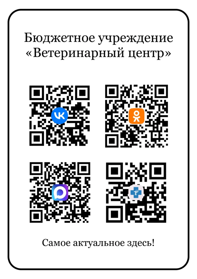 qr-код БУ "Ветеринарный центр"