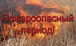 Уважаемые Жители и гости Берёзовского района  при посещении леса убедительная просьба  соблюдать правила пожарной безопасности в лесах