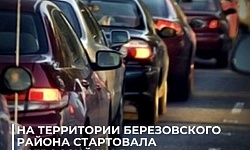 На территории Березовского района стартовала Всероссийская профилактическая акция «Неделя безопасности дорожного движения»